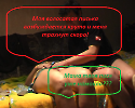 свекровь 04_1